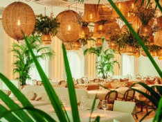 RHB26-1013_21-08-Paradise-Now-5784