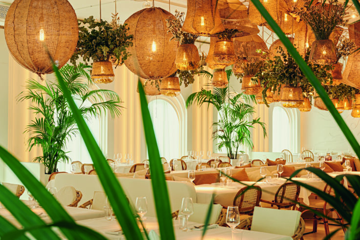 RHB26-1013_21-08-Paradise-Now-5784