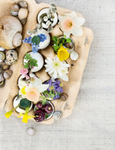 Eierkarton mit Fr¸hlingsblumen in Eierschalen als Vasen