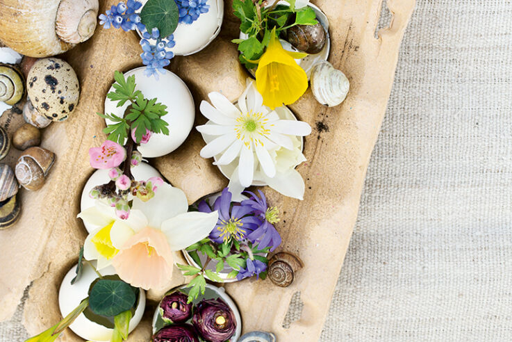 Eierkarton mit Fr¸hlingsblumen in Eierschalen als Vasen