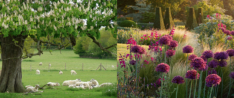 Gartenreisen in England