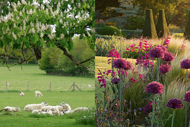Gartenreisen in England